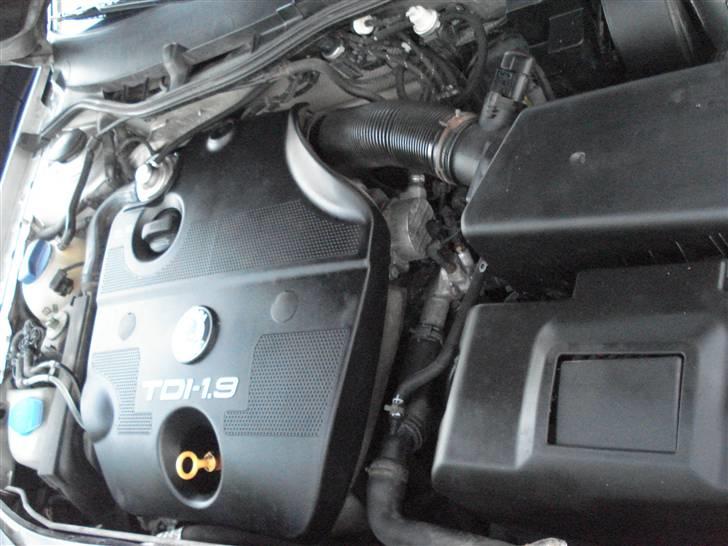 Skoda octavia ambiente billede 10