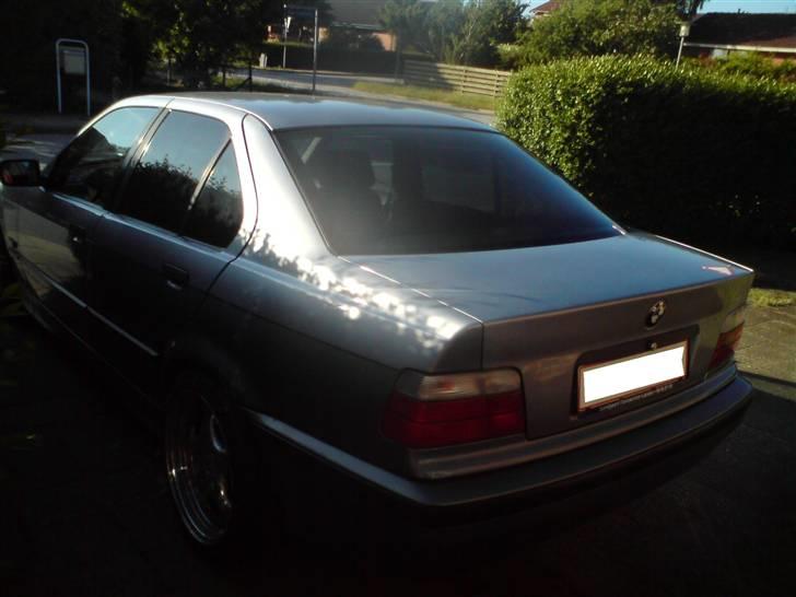 BMW 320i e36 24v vanos billede 4