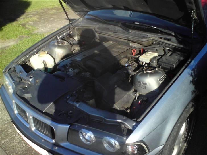 BMW 320i e36 24v vanos - mortor styring:-) billede 10