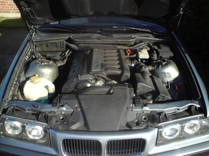BMW 320i e36 24v vanos billede 11