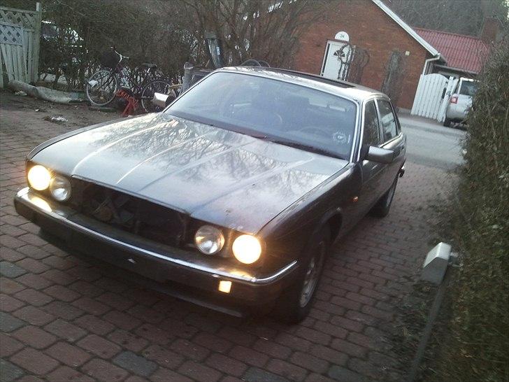 Jaguar XJ40 3.6 Sovereign billede 1