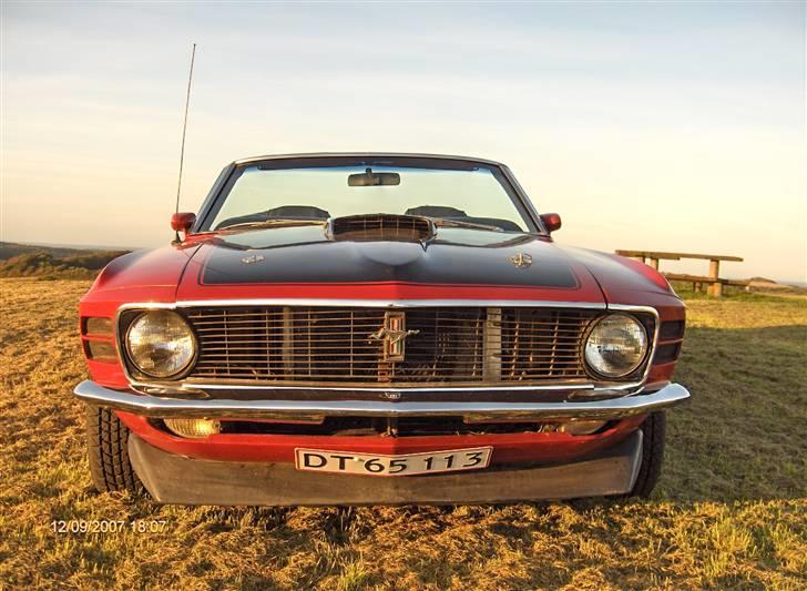 Ford Mustang Conv. billede 5