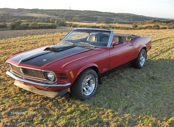 Ford Mustang Conv. billede 7