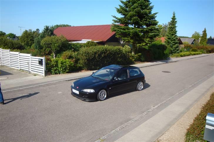 Honda Civic esi vtec billede 5