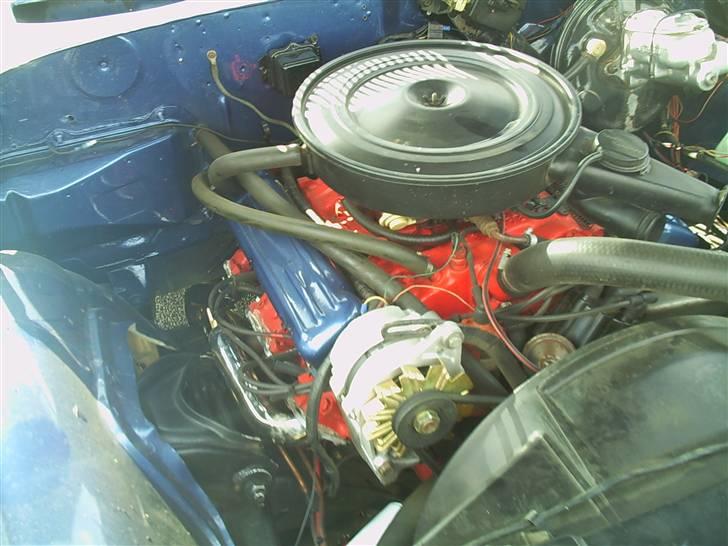 Buick skylark billede 3