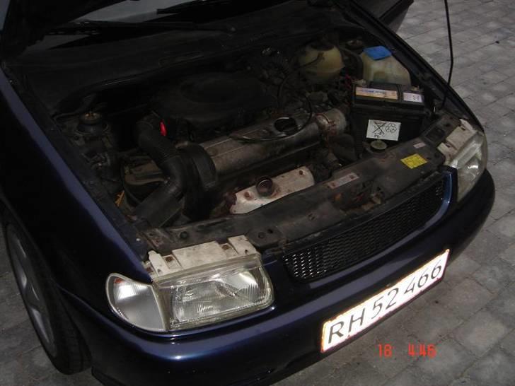 VW Polo billede 10