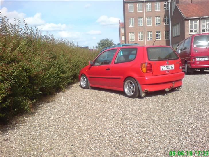 VW POLO 6N - så fik polon tysker fægle på og sænket <3 billede 3