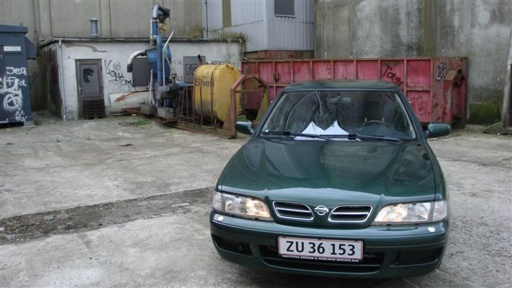 Nissan primera SE - haderslev havn. billede 1