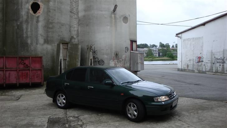 Nissan primera SE billede 10