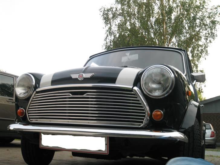 Mini Morris Mascot billede 1