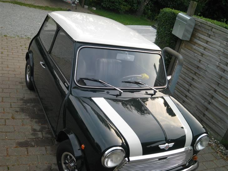 Mini Morris Mascot billede 4