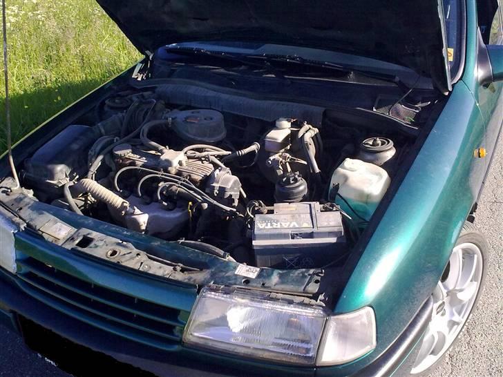 Opel vectra  billede 11