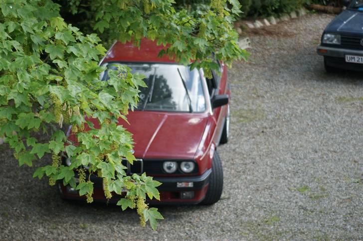 BMW 316i E30  billede 17