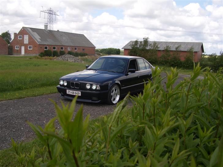 BMW E34 525i - Solgt billede 8