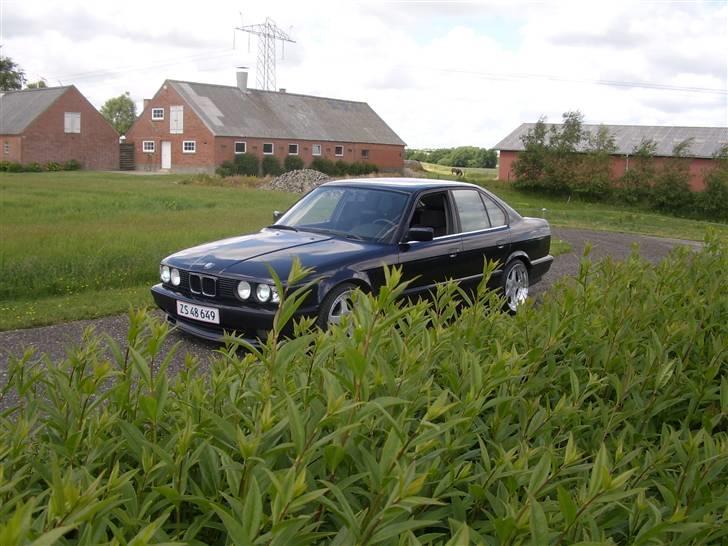 BMW E34 525i - Solgt billede 9