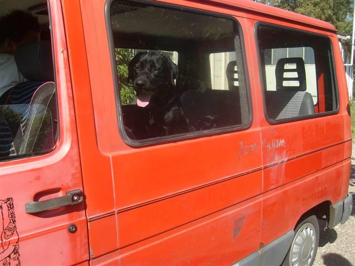 Renault TRAFIC  billede 16