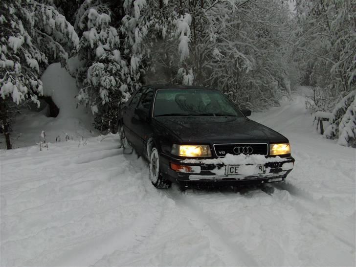 Audi V8 Quattro *"soldt" - vinter passer perfekt til bilen, ligsom den elkser det billede 10