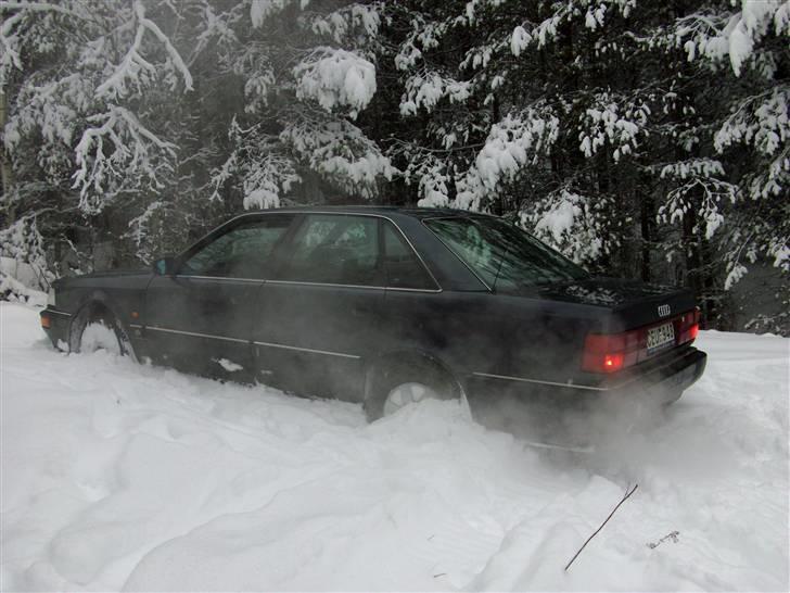 Audi V8 Quattro *"soldt" - hmm godt med frisk sne og op af bakke sa ka quattro ikke mere billede 11