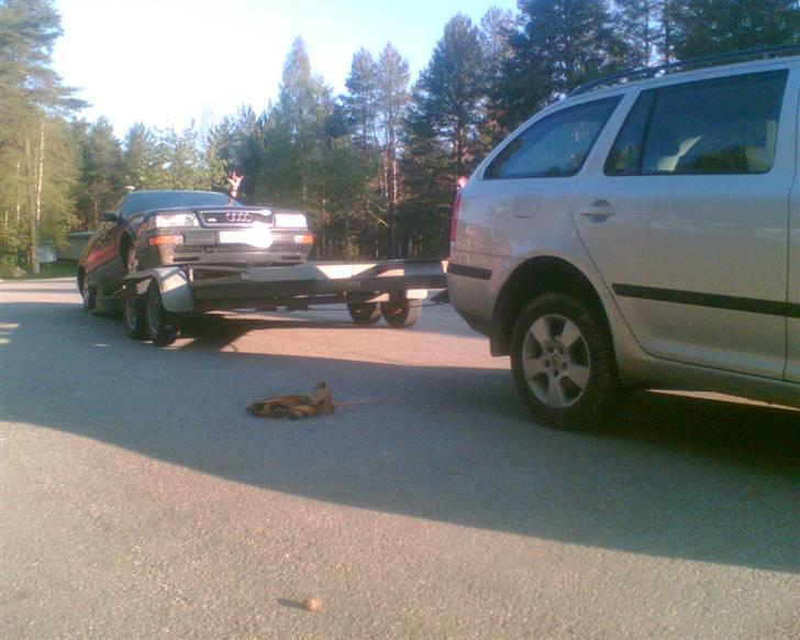 Audi V8 Quattro *"soldt" billede 16