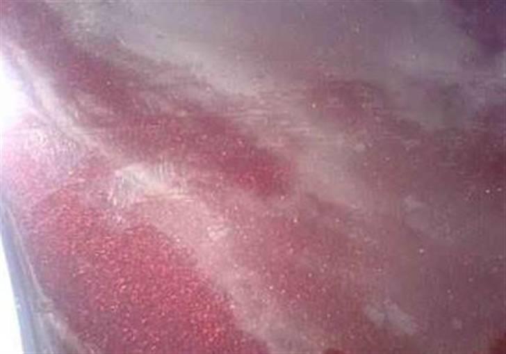 Mazda MX3 SOLGT billede 8