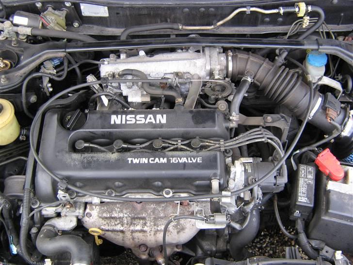 Nissan Primera billede 7