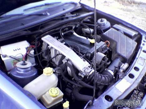 Ford Sierra (død) billede 6