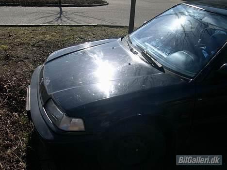 Honda Civic SOLGT billede 2