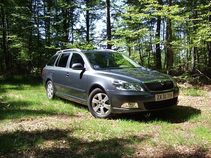 Skoda Octavia Combi Elegance billede 1