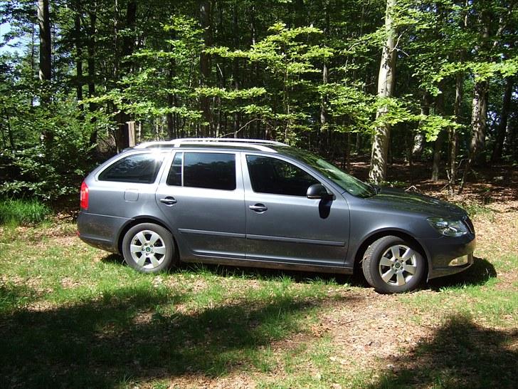 Skoda Octavia Combi Elegance billede 2