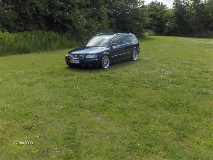 VW Passat 3BG TDI billede 7