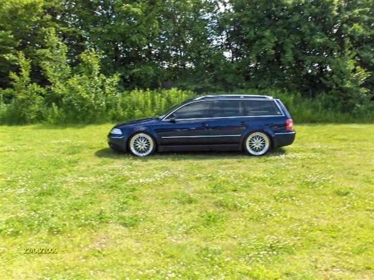 VW Passat 3BG TDI billede 8