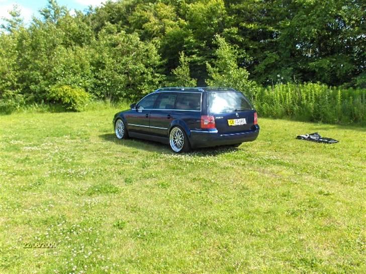 VW Passat 3BG TDI billede 9