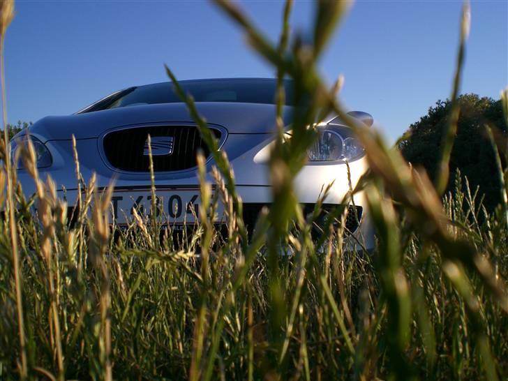 Seat Leon 1.9 TDI "SOLGT" billede 14