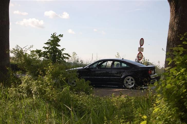 Opel calibra wide billede 18