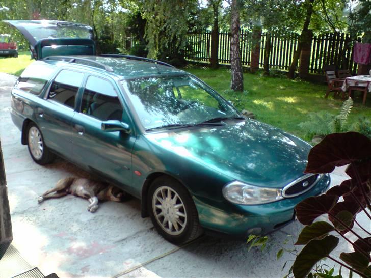 Ford Mondeo Focus  billede 8