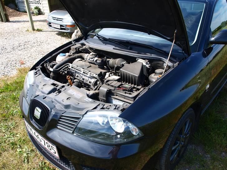 Seat Ibiza 1.9 TDI (Traktoren) billede 17