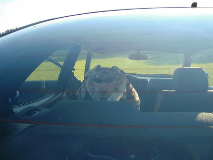 Toyota Corolla - grrrrr... billede 6