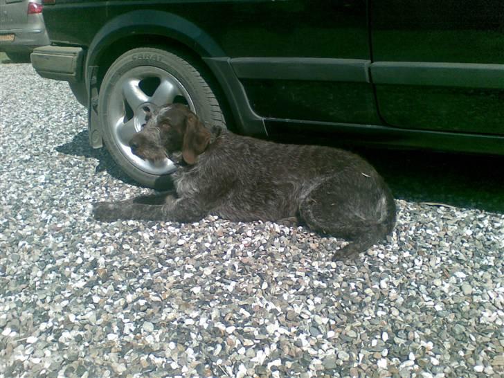 VW Golf 2 td Solgt billede 7