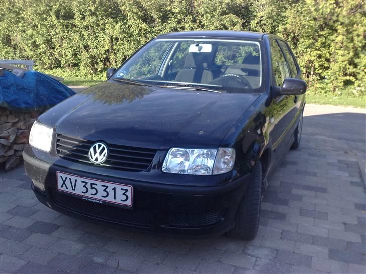 VW polo 1.4 - lige da vi fik den hjem, møgbeskidt... billede 9