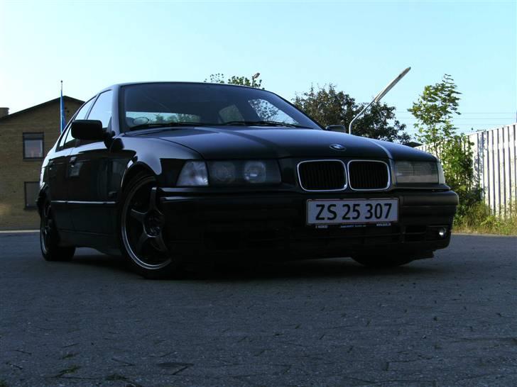 BMW E36  billede 17