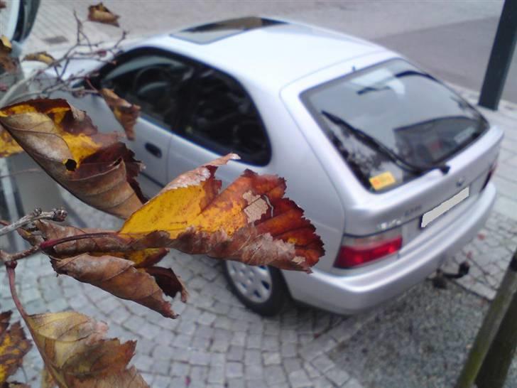 Toyota corolla  AE101 billede 11