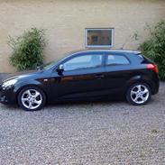 Kia pro ceed sport x   SOLGT