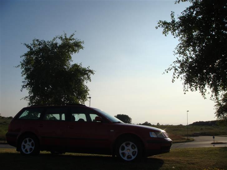 VW Passat billede 13