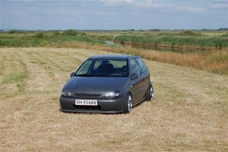 VW polo 6n 1,6 SOLGT billede 4