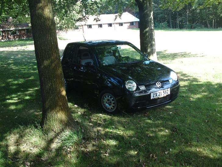 VW Lupo billede 11