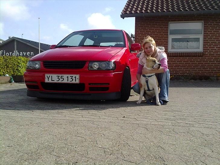 VW Polo 6n 1.4 16v Døød :'( - Lige blevet monteret gevind undervogn. mig og buller billede 18