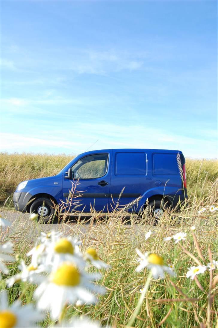 Fiat Dobló Cargo MultiJet billede 3