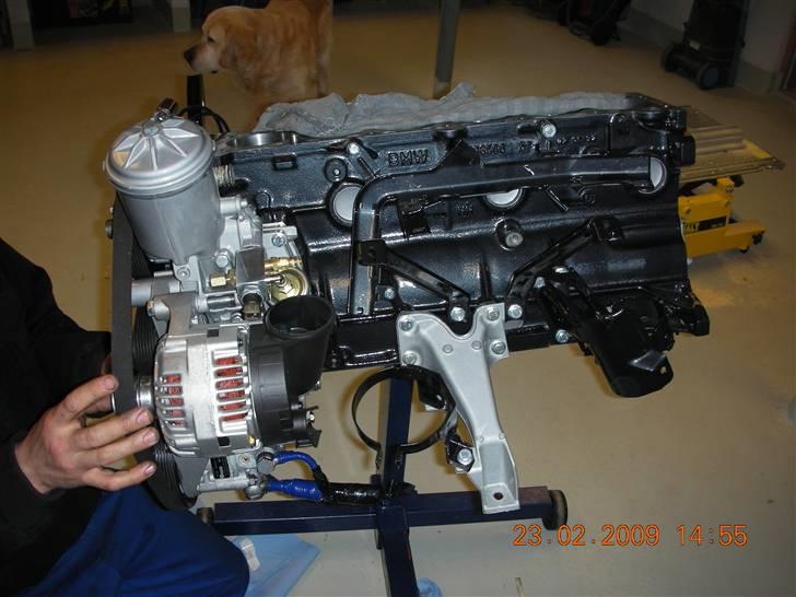 BMW Cabriolet billede 7