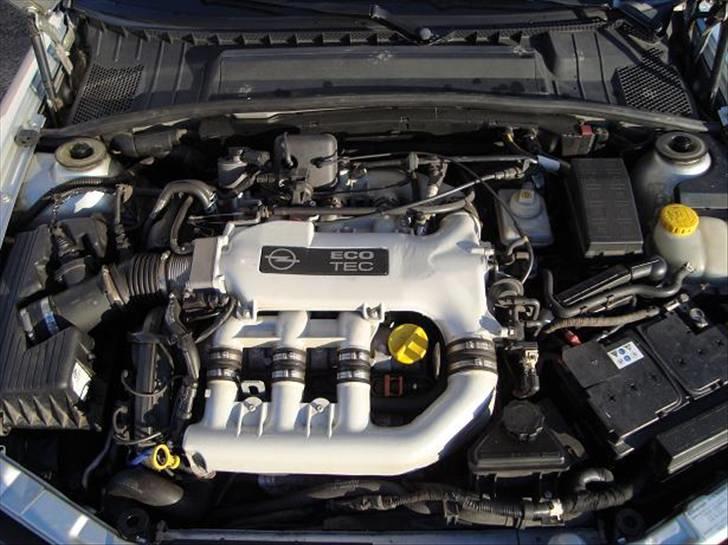 Opel Vectra B - 2,5 V6 24V X25XE billede 12