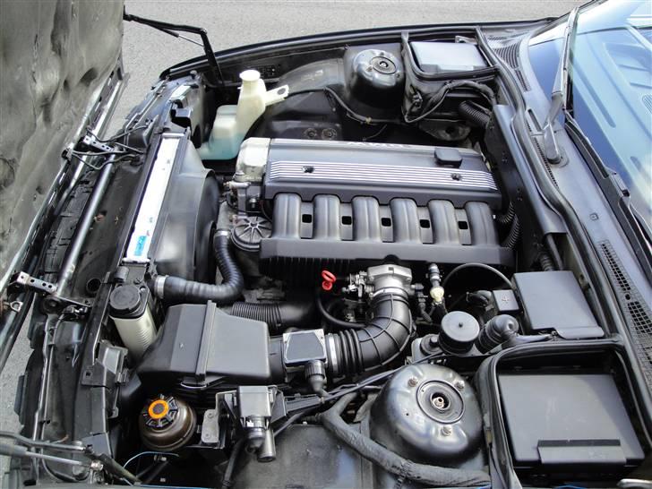 BMW 525i E34 (SOLGT) - vasket :-D billede 12